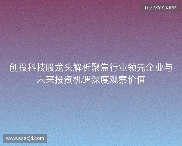 创投科技股龙头解析聚焦行业领先企业与未来投资机遇深度观察价值